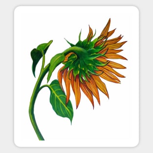 Sunflower Sticker